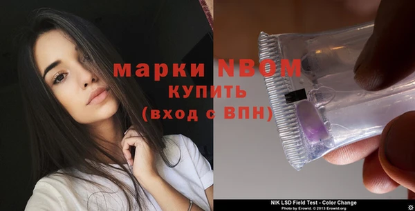 соль ск Няндома