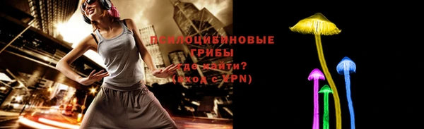 соль ск Няндома
