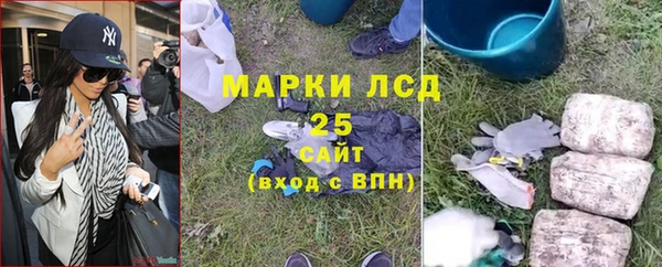 соль ск Няндома