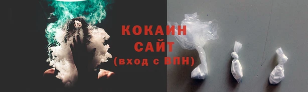 соль ск Няндома