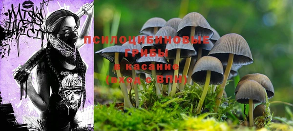 шишки Болхов