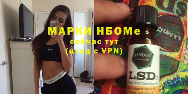 соль ск Няндома