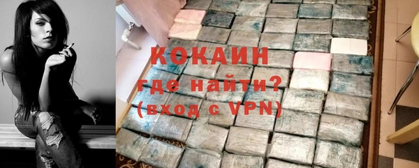 соль ск Няндома