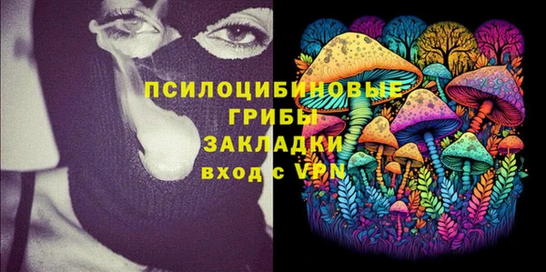 соль ск Няндома